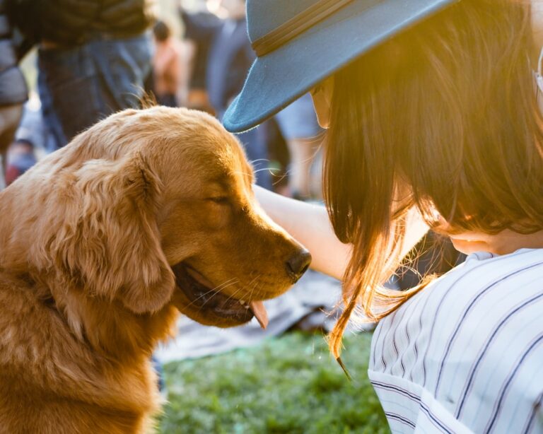 Empowering Lives: The Role of Therapy Dogs for Individuals with Disabilities