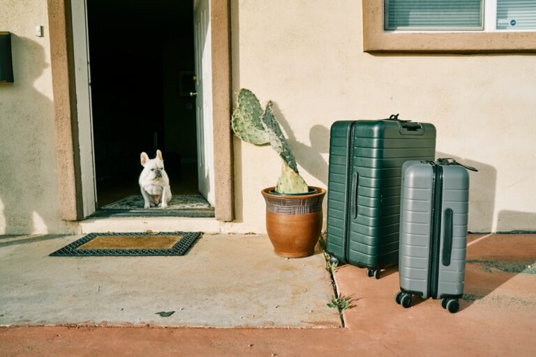 Exploring Ground Transportation: The Ultimate Guide for Traveling with Dogs